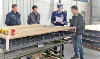 消防大隊依法查封違規(guī)使用彩鋼板建筑工廠