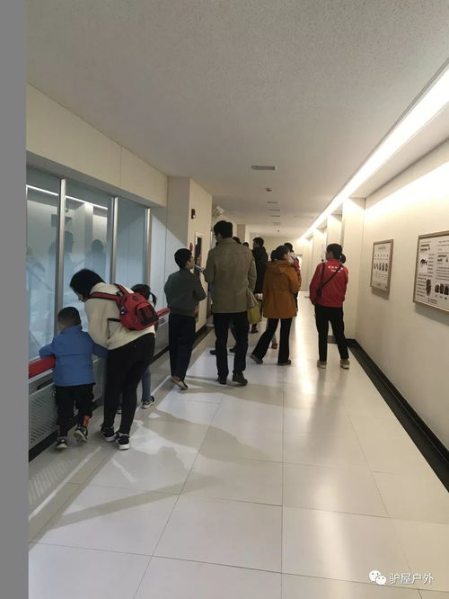 養樂多工廠探游 揭秘100億活性菌與健康住宿的雙重體驗